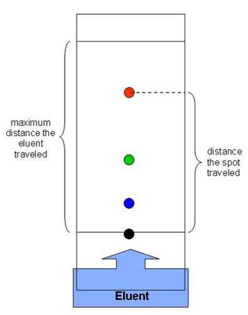 <p>Solvent, which moves up the stationary phase</p>