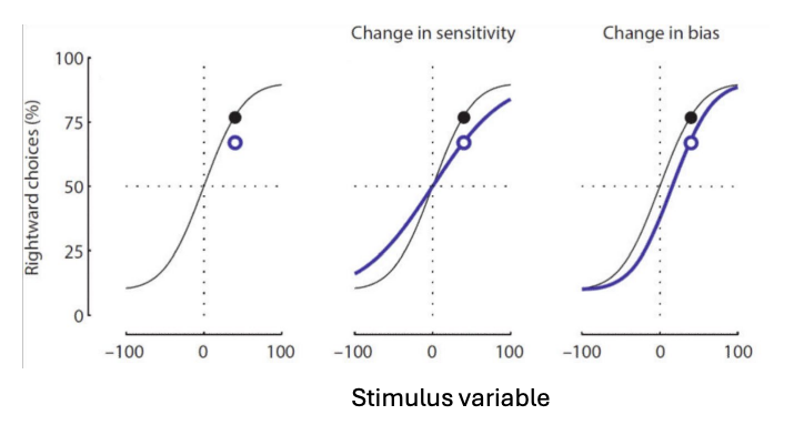 <p>curve allows us to quantify the relationship between stimulus and perception</p><ul><li><p>changes in threshold/shifted curve (bias/range of sensitivity)</p></li><li><p>changes in slope (sensitivity/noise within that range)</p></li></ul><p></p>