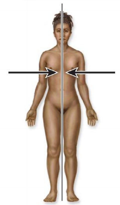 <p>What the directional terminology for this direction?</p>