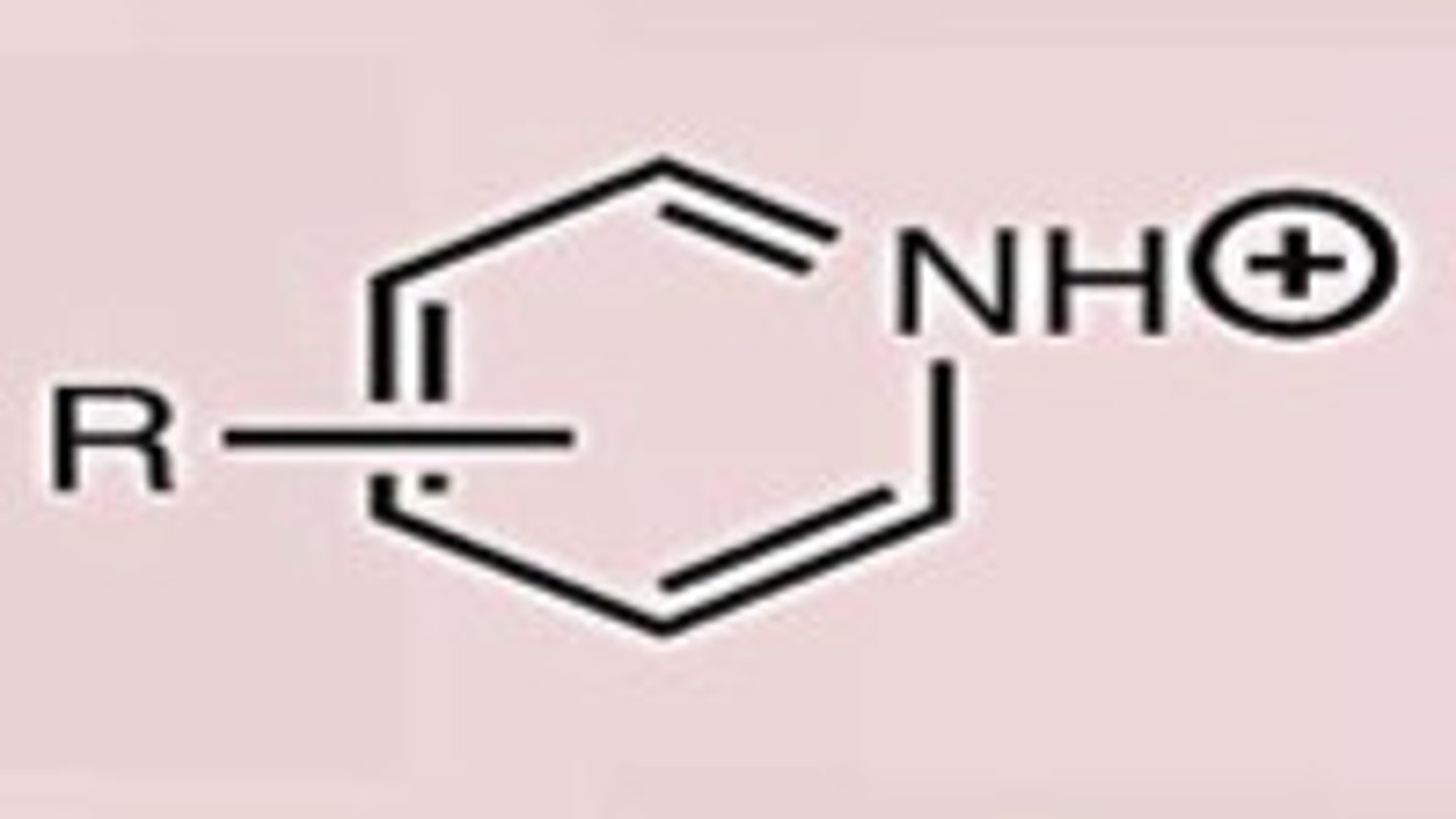 <p>Conj. Acid</p>