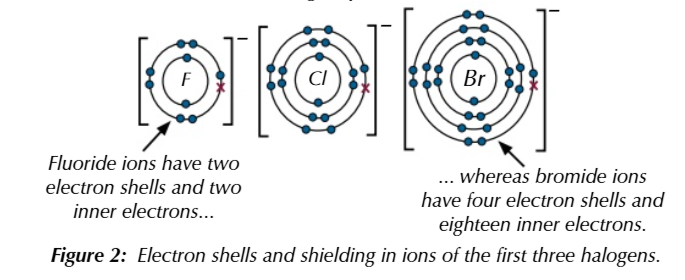 <p>because the ions get bigger so electrons are further away from positive nucleus with extra shells in the way</p>