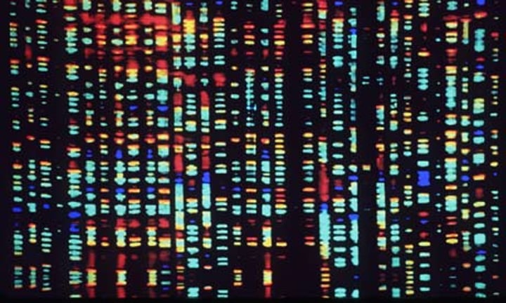 <p>investigates the whole genome</p>