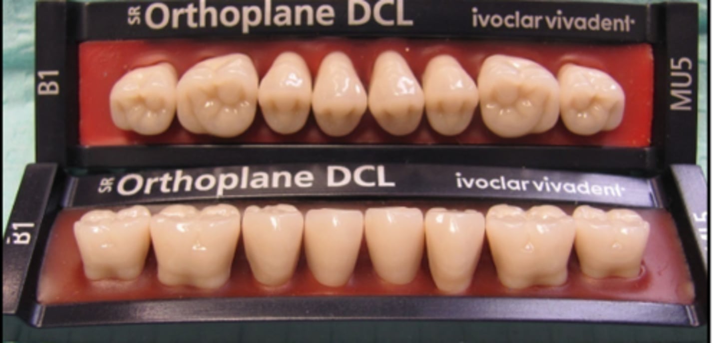 <p>Are these monoplane or anatomic posterior denture teeth?</p>