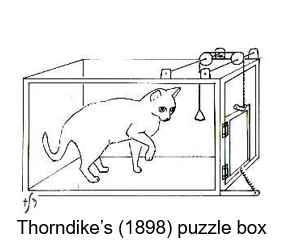 <p><span><span>•Discovery</span></span></p><p><span><span>•Direct instruction</span></span></p><p><span><span>•Analogy/imitation</span></span></p><p></p>