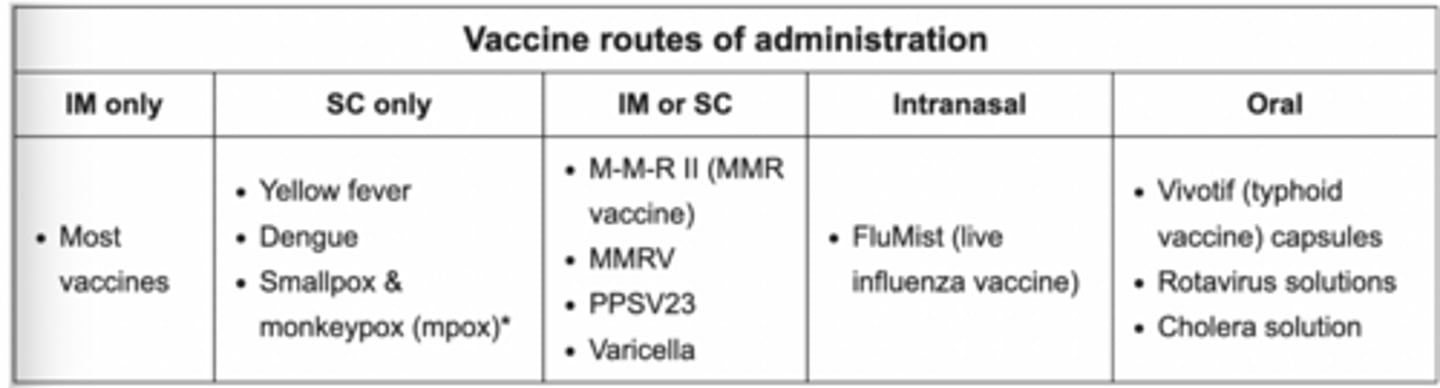 <p>MMR II</p><p>MMRV</p><p>PPSV23</p><p>Varicella</p>