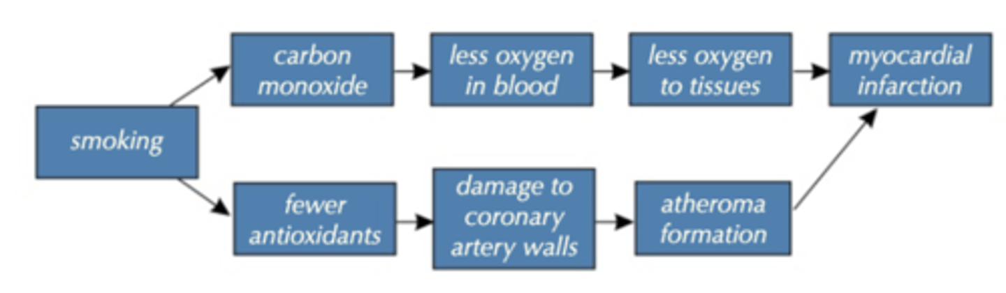 <p>- Nicotine and carbon monoxide put strain on heart, making it work quicker<br><br>- Increase risk of blood clots<br><br>- Mortality from CHD is 60% higher in smokers<br><br>- Regular exposure to passive smoking increases CHD risk by 25-30%<br><br>- WHO estimates over 20% of cardiovascular diseases overall are down to smoking</p>