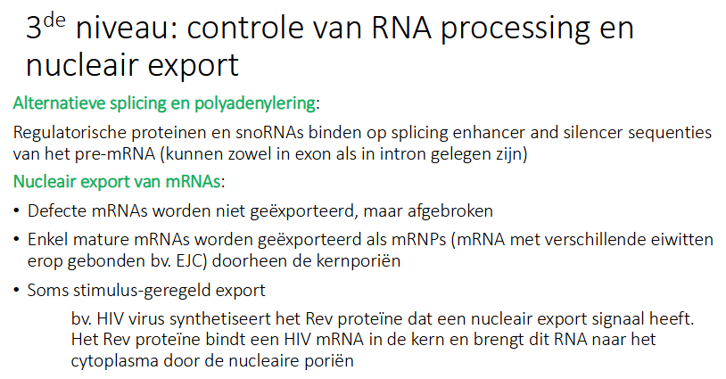 <p>Enkel mature mRNAs (met EJC gebonden) worden geëxporteerd als mRNP doorheen de kernporieën (Ran onafhankelijk)</p><p>Soms stimulus-gergelde export</p><p>bv HUV viru synthtiseerd Rev proteine dat een NES (nucleair export signaal) hheeft</p><p>het Rev bindt HIV in de kern en brengt dit RNA naar het cytoplasma door de nucleaire poriën zodat het afgeschreven kan worden</p>