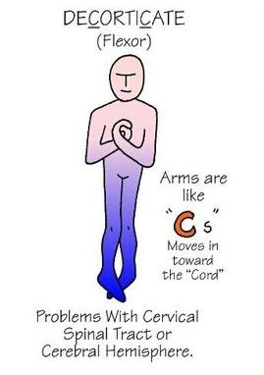 <p>Hands towards the CORE</p>