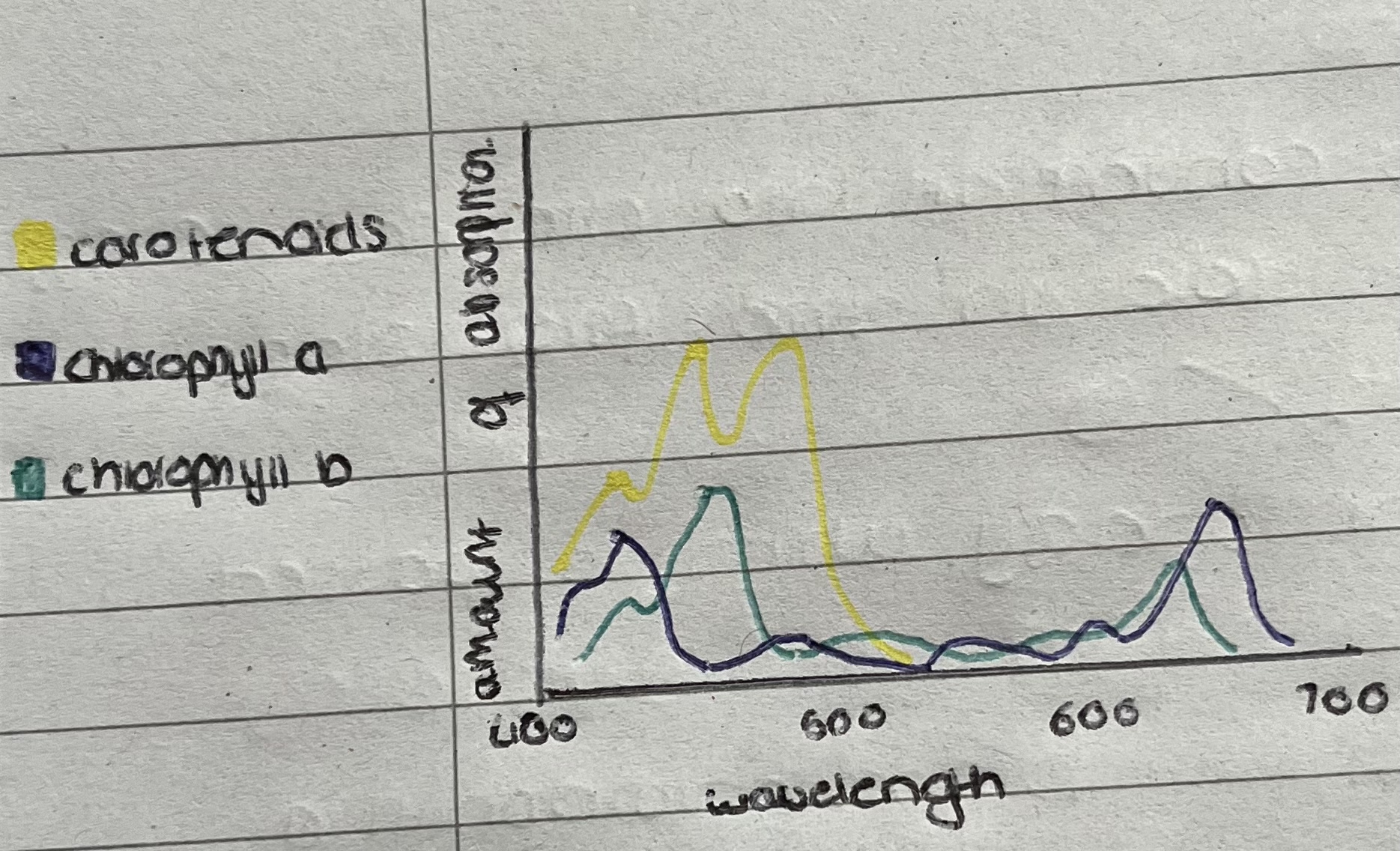 graphs showing the amount of light at each wavelength