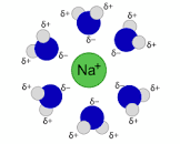 <p>what is a hydration shell </p>