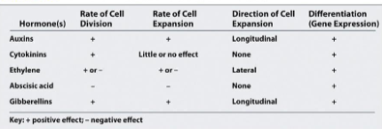 <p>How do hormones work?</p>