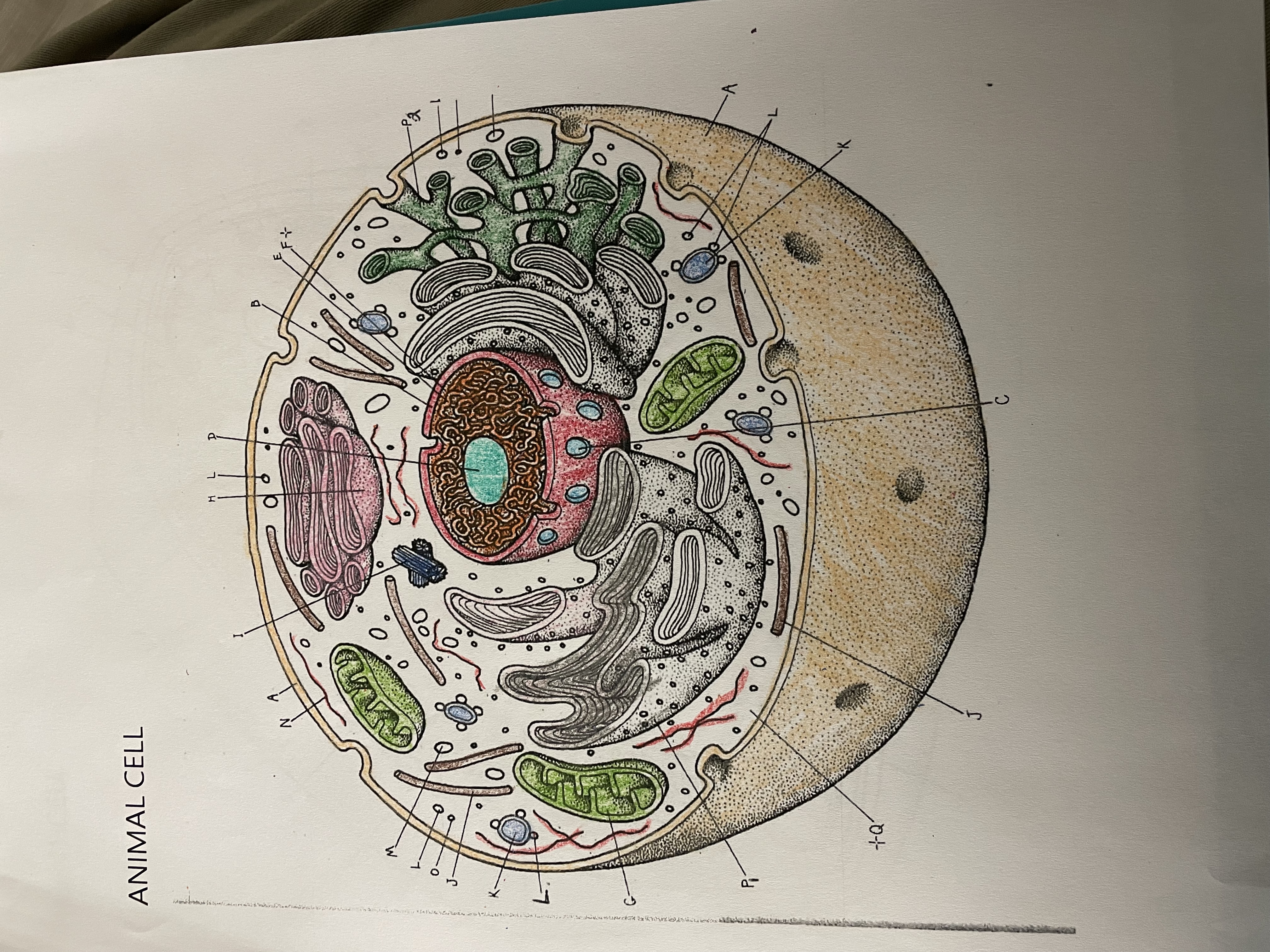 <p>Find K</p>