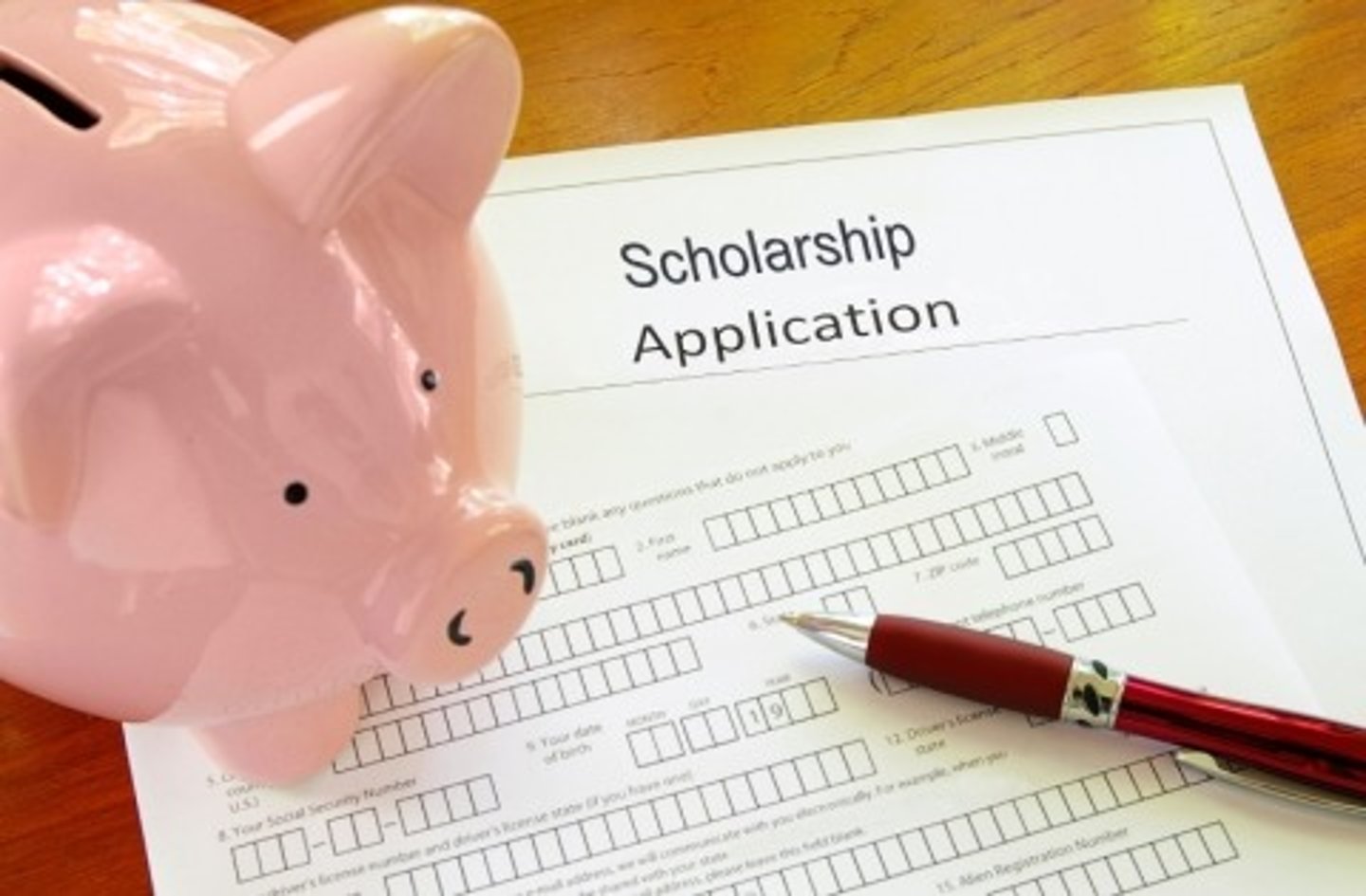 <p>scholarship</p>