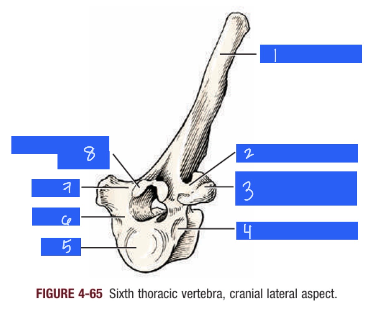 <p>21</p>