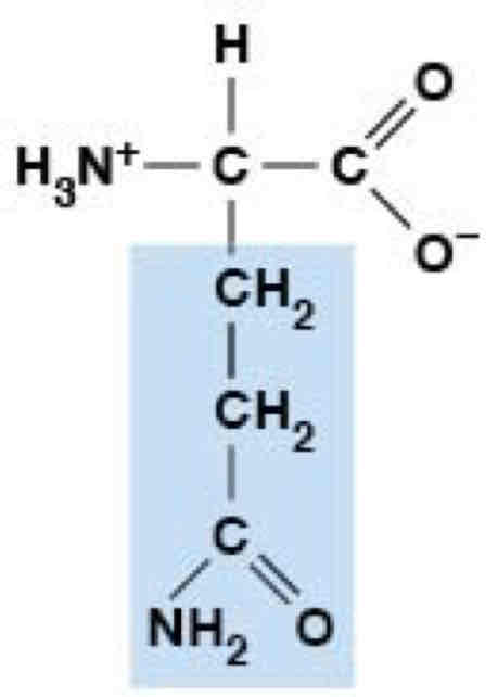 <p>Polar, Uncharged (Hydrophilic)</p>