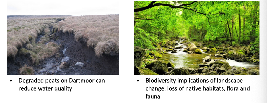 <ul><li><p><span style="line-height: normal; font-size: 7pt;"><span>&nbsp; </span></span><span><span>palaeoecology can challenge perceptions, provide sustainable conservation targets</span></span></p></li><li><p class="MsoListParagraphCxSpLast"><span style="line-height: normal; font-size: 7pt;"><span> </span></span><span><span>Dartmoor national park – natural wilderness or anthropogenic landscape</span></span></p></li><li><p class="MsoNormal"><span style="font-family: "Times New Roman"; line-height: normal; font-size: 7pt;"><span>&nbsp; </span></span><span><span>Prior to c. 4,500 years ago, Dartmoor was largely forested (Alder, Hazel, Oak)</span></span></p></li><li><p class="MsoListParagraphCxSpMiddle"><span style="font-family: "Times New Roman"; line-height: normal; font-size: 7pt;"><span>&nbsp;&nbsp; </span></span><span><span>4,500 – 3,000 years ago – increased evidence of anthropogenic burning</span></span></p></li><li><p class="MsoListParagraphCxSpMiddle"><span><span>2000 years ago to present – dramatic reduction in trees, replaced by grasses</span></span></p></li><li><p class="MsoListParagraphCxSpMiddle"><span style="font-family: "Times New Roman"; line-height: normal; font-size: 7pt;"><span>&nbsp; </span></span><span><span>Entirely human induced</span></span></p></li><li><p class="MsoListParagraphCxSpLast"><span><span>Heavily modified landscape maintained by grazing and swailing (burning)</span></span></p></li></ul><p></p>