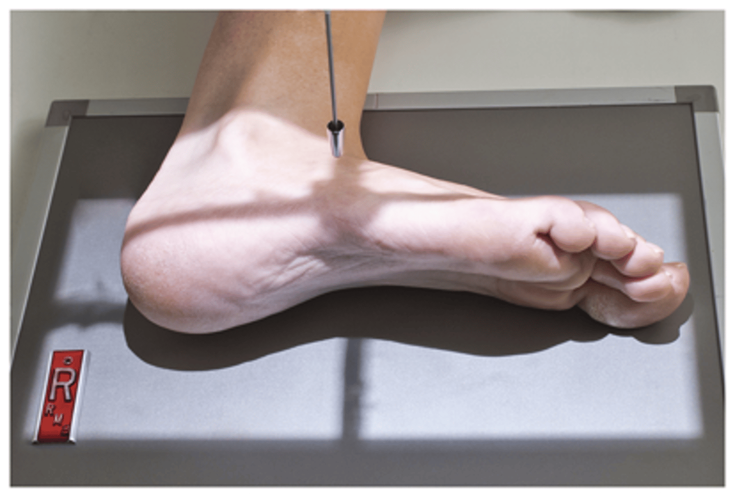 <p>What projection is this?</p>