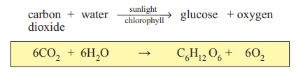 <p>This is the process of photosynthesis. It takes place only in sunlight and only in green leaves, as they contain chlorophyll (the green pigment) which catalyses the process. </p>