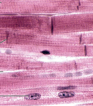<p>Identify the following</p>