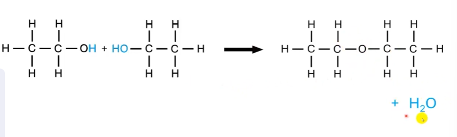 <p>organische moleculen reageren tot een groter molecule en een klein molecule zordt afgesplitst (meestal H2O)</p>