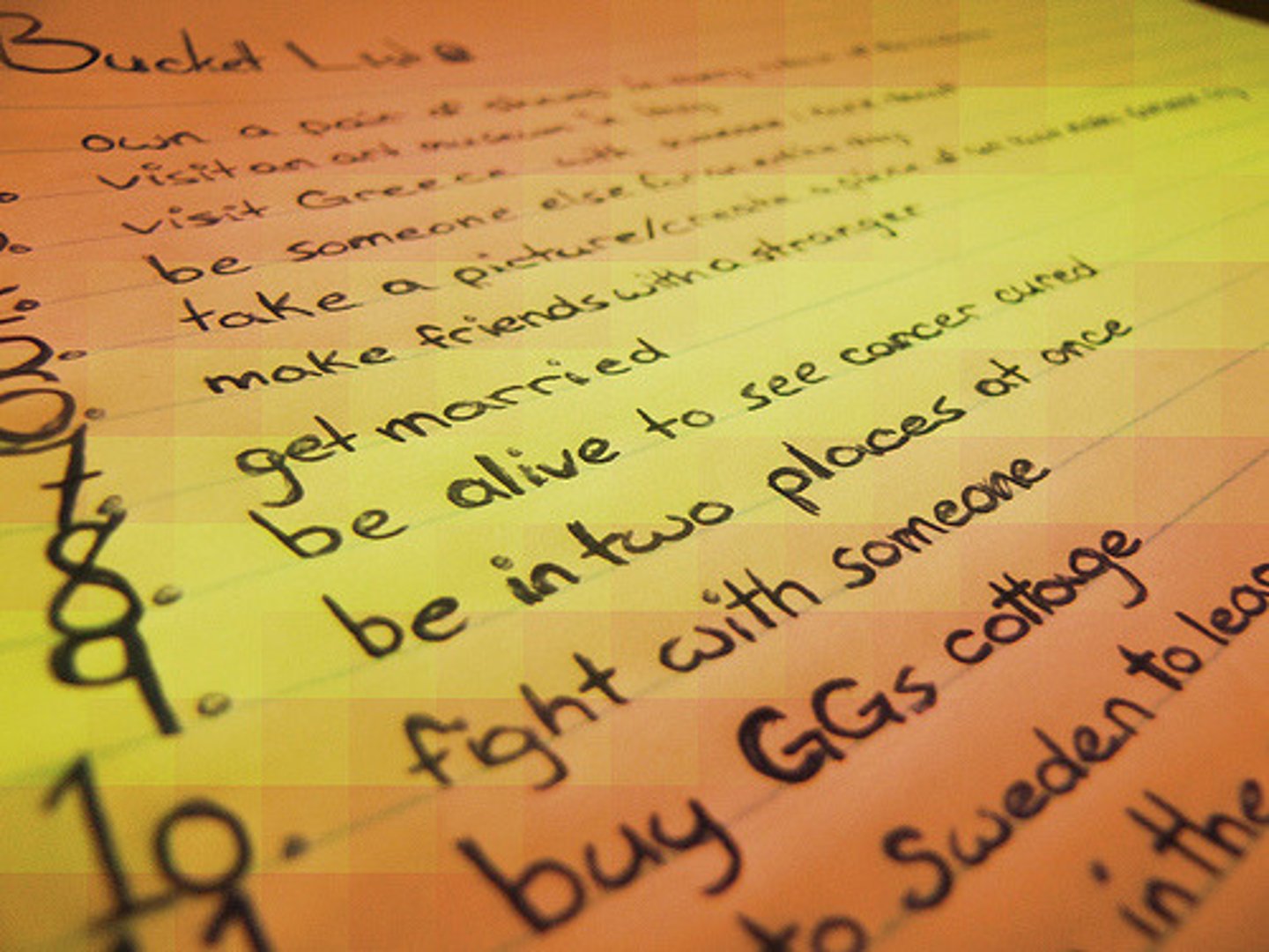 <p>A list of things that a person would like to do or achieve before they die</p>