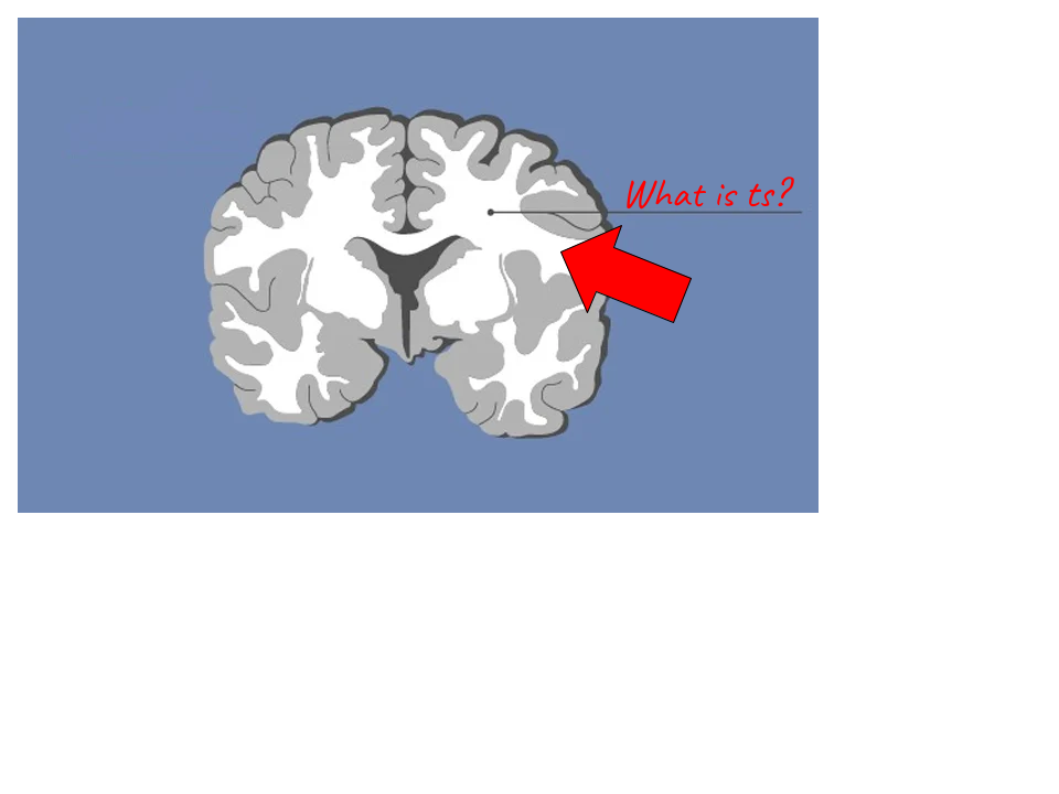 <p>Identify the highlighted region and the textbook definition associated with it</p>