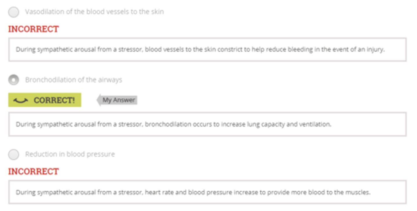 <p>Bronchodilation of the airways</p>