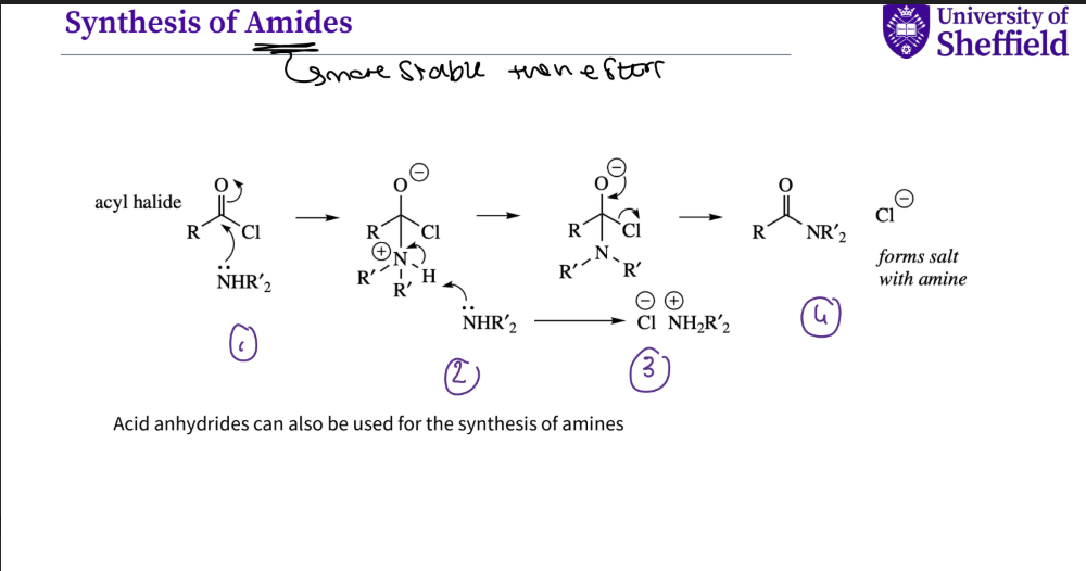 <p>Amides are more stable then esters&nbsp;</p><p>1 .an amine&nbsp; attacks the carbonyl on the acyl halide the double bond breaks&nbsp;</p><ol start="2"><li><p>a second amine attacks the hydrogen which then squashes the + ve charge</p></li><li><p>the oxygen then reforms its double bond , kicks out halide , and a salt is formed&nbsp;</p></li><li><p>amide is formed and halide ion&nbsp;</p></li></ol><p>note- acid anhydrides can also be used for the synthesis of an amide&nbsp;</p><p></p>