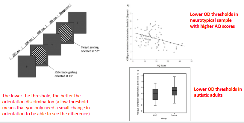 <p>the lower the threshold, the better the orientation discrimination → means the smaller change needed to be able to detect a different angle</p><ul><li><p>studies have found lower thresholds correlated with higher AQ scores</p></li></ul><p></p>