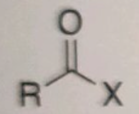 <p>X is a Halogen </p>