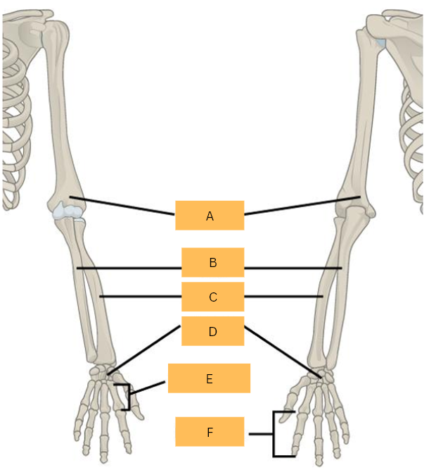 <p>What is A?</p>