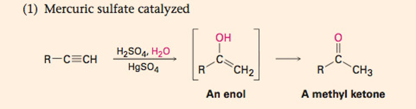 <p>-Reagents: HgSO4/H2O/H2SO4</p><p>-Addition catalyzed by Hg2+, no mercurinium ion invovled</p><p>-Primary product is an enol (less stable tautomer of a ketone)</p><p>-Markovnikov addition</p>