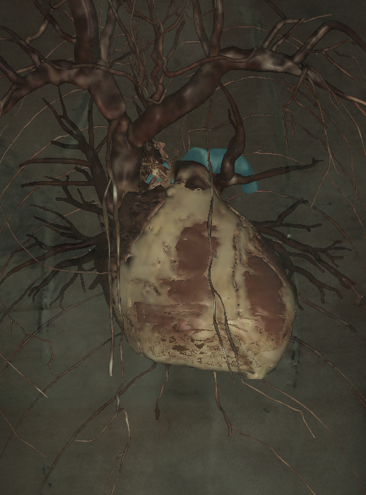 <p>Name the structure highlighted </p>