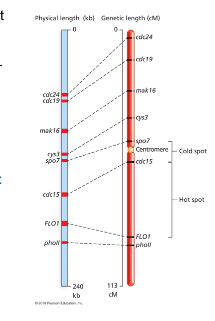 <p>Hotspots</p><p>*drosophila, Nadia Singh</p>