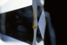<p>What inclusion is this?</p>
