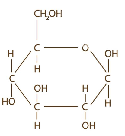 <p>C6 H12 O6 (OH up)</p>