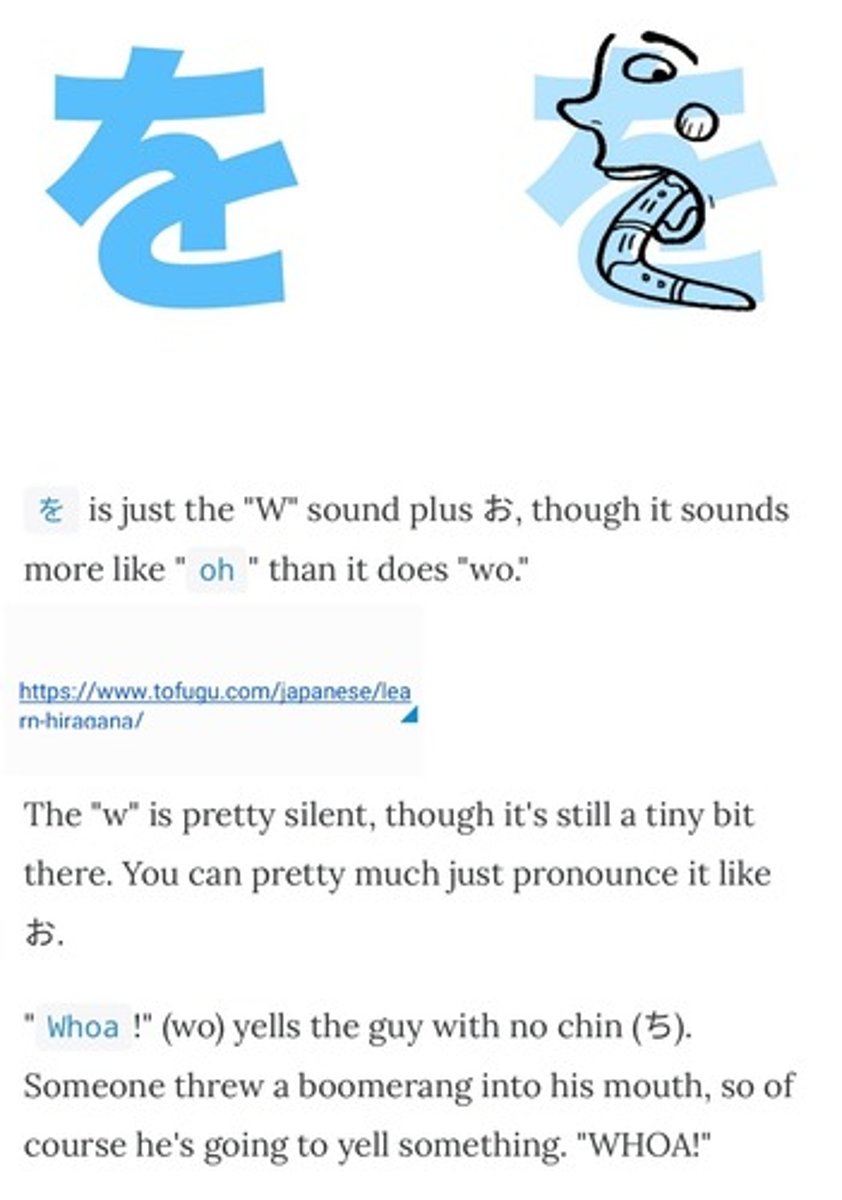 <p>w o</p>