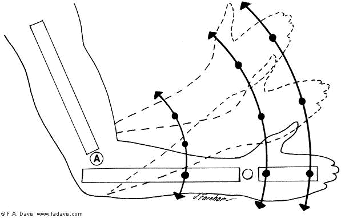 <p>This is an example of what type of motion?</p>