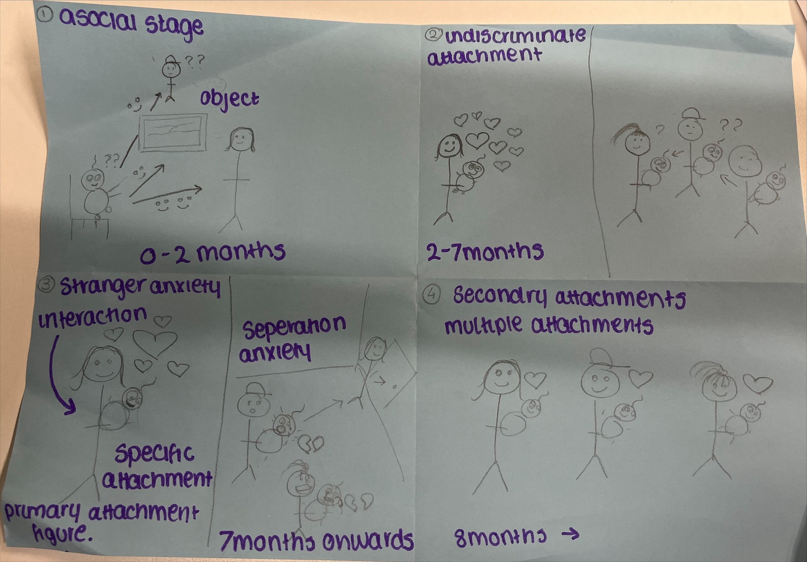 <p>Stage 1: Asocial stage 0-6 weeks. Babies display innate behaviours that ensure proximity to any potential caregiver. anyone can comfort them. </p><p>Stage 2: Indiscriminate attachment, 6 weeks - 7 months. infants develop the ability to tell the difference between familiar and unfamiliar individuals. </p><p>Stage 3: specific attachment 7-9 months, babies form a strong attachment to a primary caregiver, most often their mother. (develop separation anxiety and stranger anxiety) </p><p>stage 4: multiple attachment, 9/10 months, the infant starts to form attachments with other regular caregivers. </p>