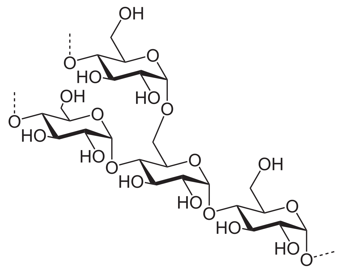 <p>POLIZAHARIDE - def, rol, ex</p>