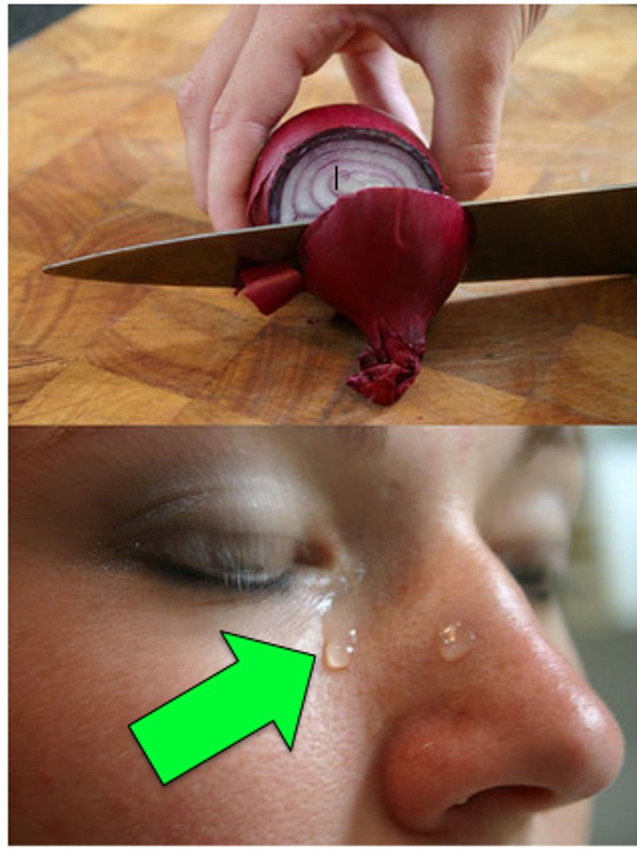 <p>to have an influence on someone or something: ảnh hưởng đến</p>