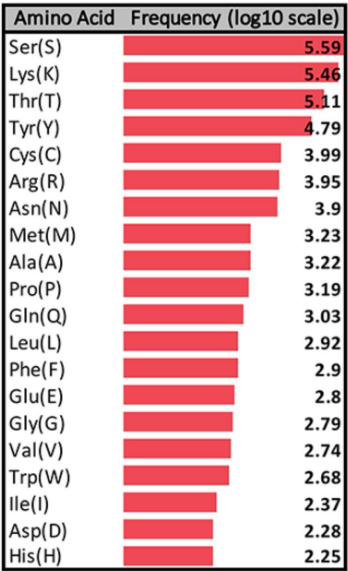 <p>A wide variety, but Serine, Lysine, Threonine and Tyrosine dominate.</p>