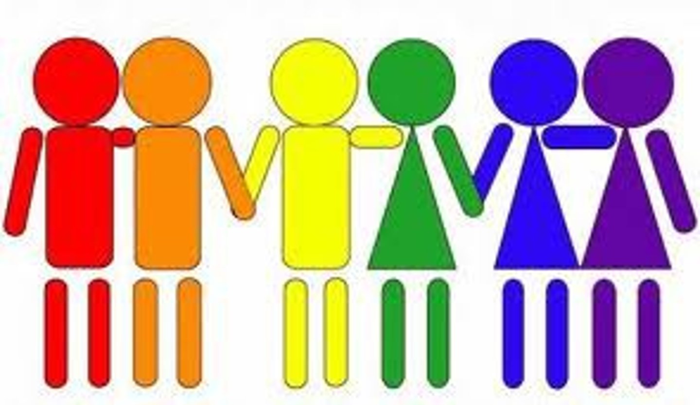 <p>the disposition to be attracted to either the opposite sex (heterosexual), the same sex (homosexual), or both sexes (bisexual).</p>