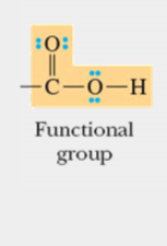 <p>carboxylic acid</p>