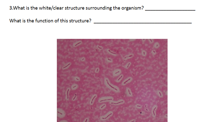<p>what is this / function</p>