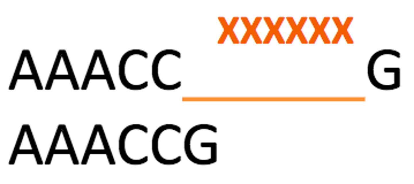 <p>chromosomal rearrangements and translocations that affect kilobases or megabases of DNA</p>