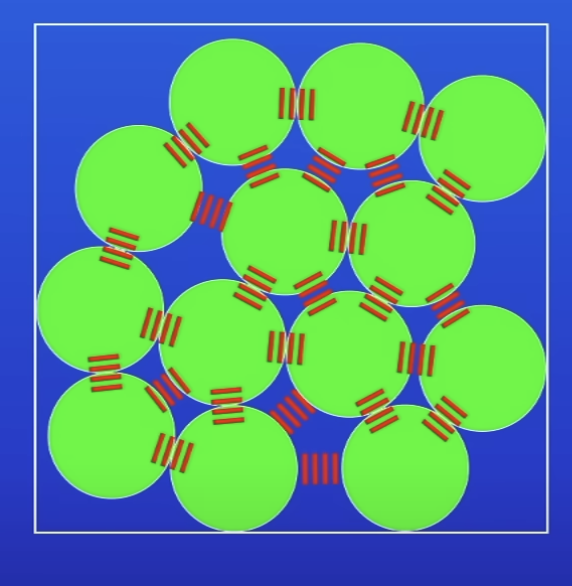 <p>They have:</p><ul><li><p>IF or chemical bonds betw them</p></li></ul>