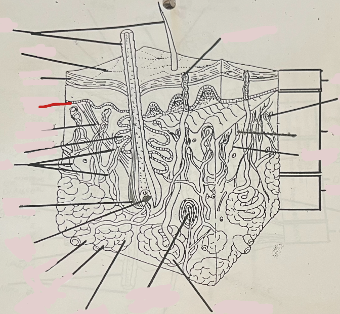 <p>What is this?</p>