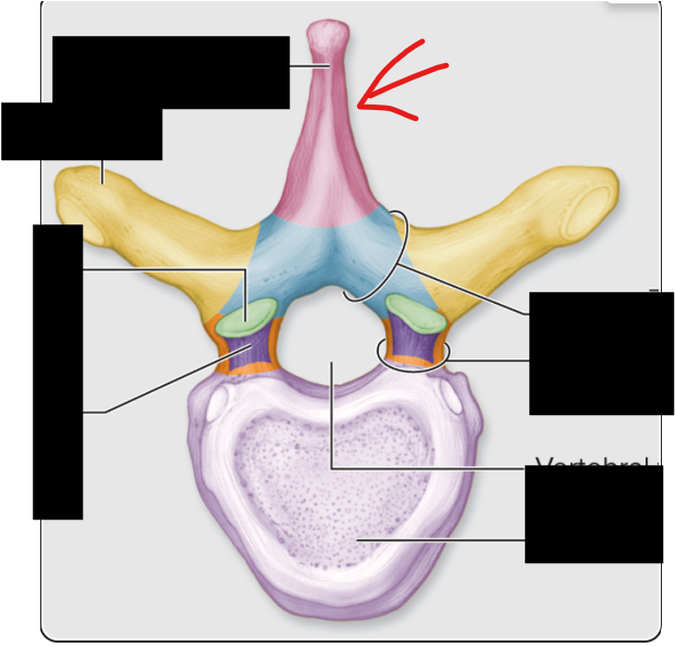 <p>what this</p><p></p><p></p>