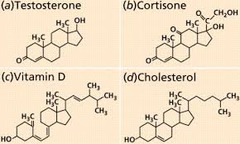 <p>Steroids are a class of lipids that have a basic structure of four linked carbon rings and include cholesterol, vitamin D, and a variety of hormones.</p>